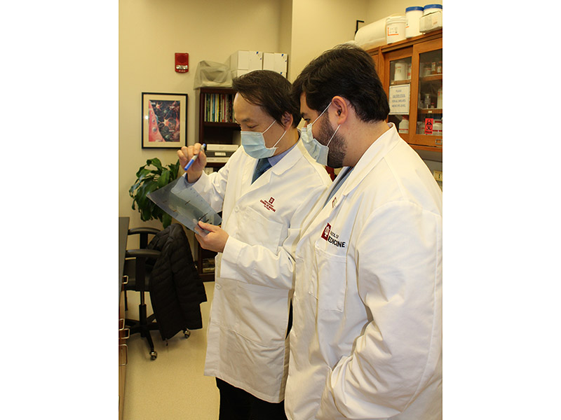 Two med students looking at a medical scan.